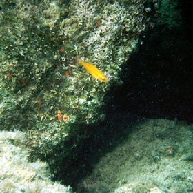 CHORWACJA, BIOGRAD (27 kw - 4 maja)