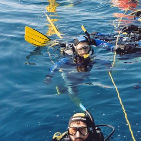 CHORWACJA, BIOGRAD (27 kw - 4 maja) 