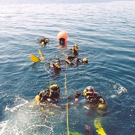 CHORWACJA, BIOGRAD (27 kw - 4 maja) 