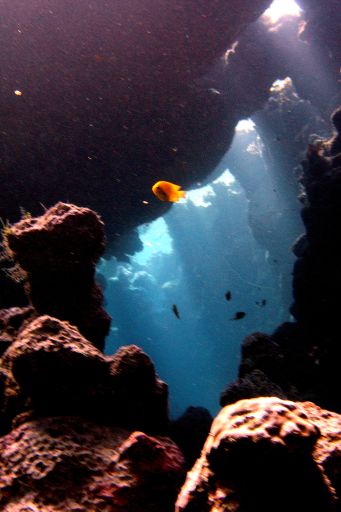 EGIPT, safari południowe (wrzesień)