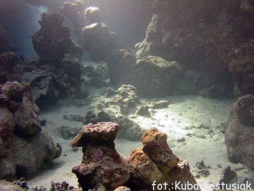 EGIPT, safari południowe (wrzesień)