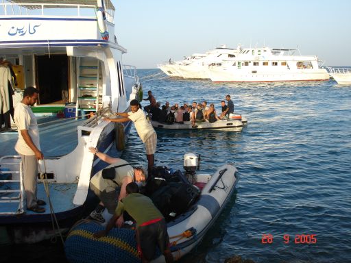 EGIPT, safari południowe (wrzesień)