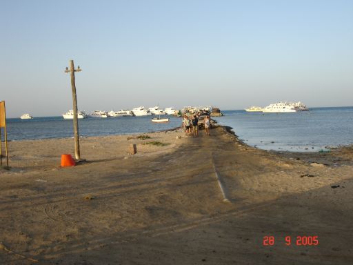 EGIPT, safari południowe (wrzesień)