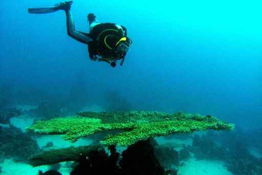 EGIPT, safari południowe (wrzesień)