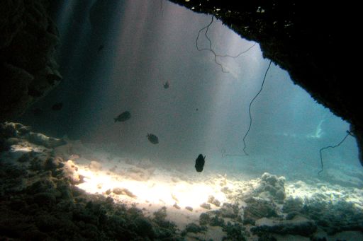 EGIPT, safari południowe (wrzesień)