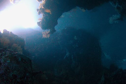 EGIPT, safari południowe (wrzesień)