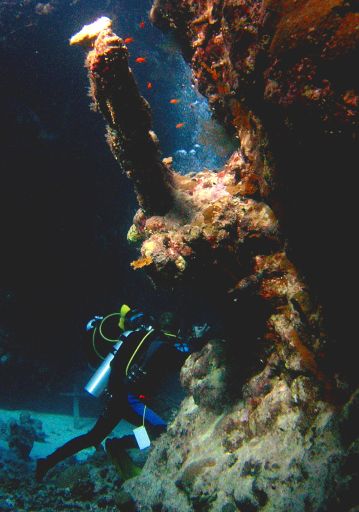 EGIPT, safari południowe (wrzesień)