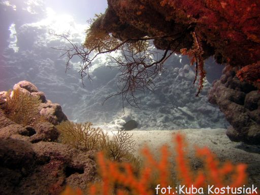 EGIPT, safari południowe (wrzesień)