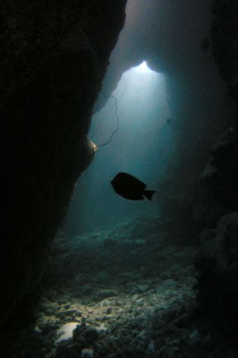 EGIPT, safari południowe (wrzesień)