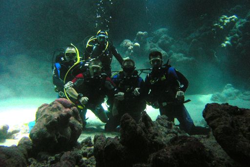 EGIPT, safari południowe (wrzesień)