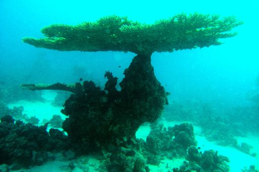 EGIPT, safari południowe (wrzesień)