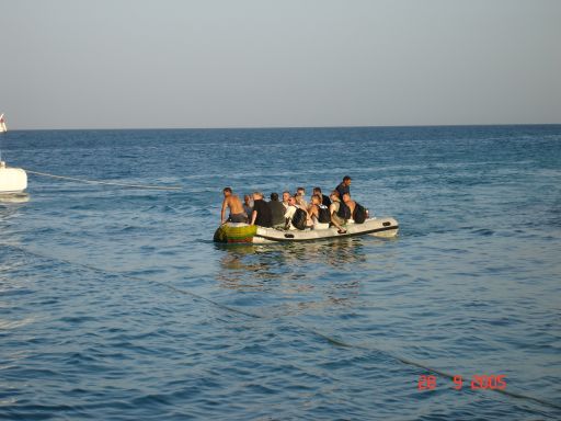 EGIPT, safari południowe (wrzesień)