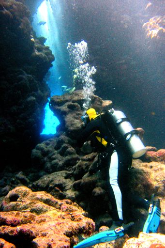 EGIPT, safari południowe (wrzesień)