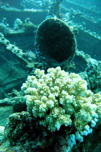 EGIPT, safari południowe (wrzesień)