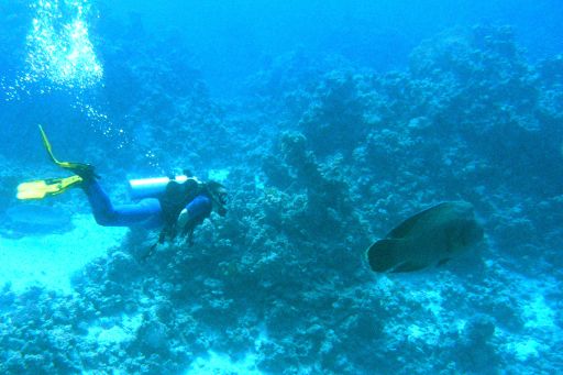 EGIPT, safari południowe (wrzesień)