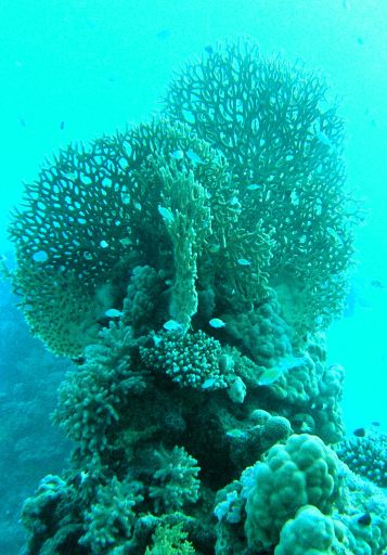 EGIPT, safari południowe (wrzesień)