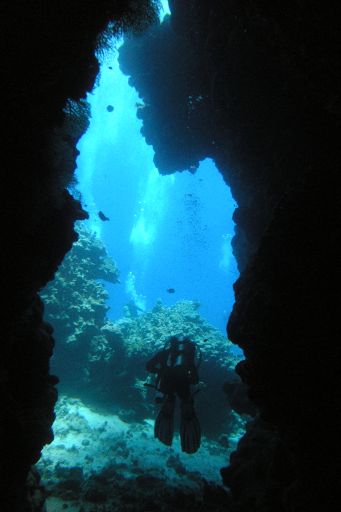 EGIPT, safari południowe (wrzesień)