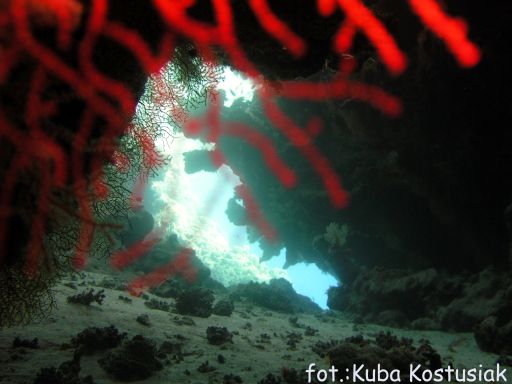 EGIPT, safari południowe (wrzesień)