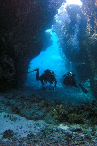 EGIPT, safari południowe (wrzesień)