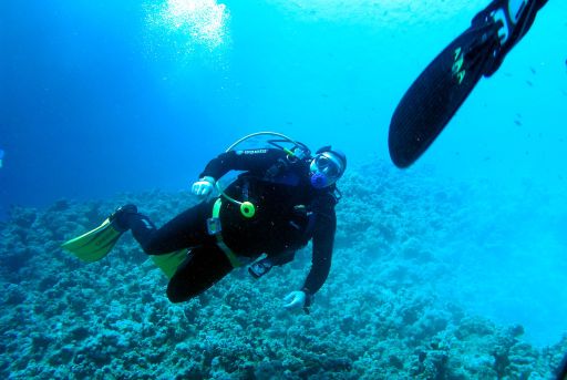 EGIPT, Sharm el Sheikh (listopad)