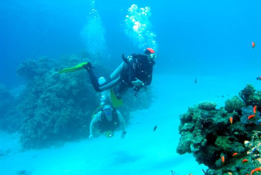 EGIPT, Sharm el Sheikh (listopad)