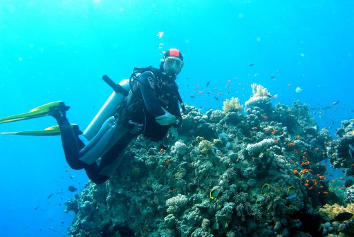 EGIPT, Sharm el Sheikh (listopad)