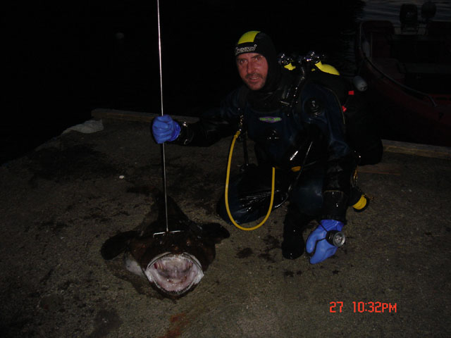 Norwegia Bu (czerwiec/lipiec)