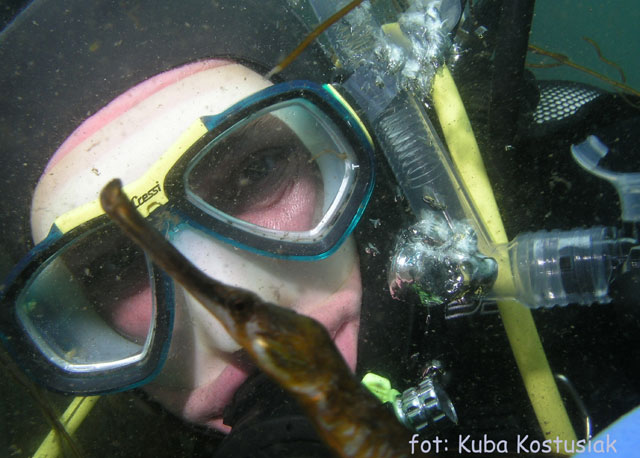 Norwegia Bu (czerwiec/lipiec)