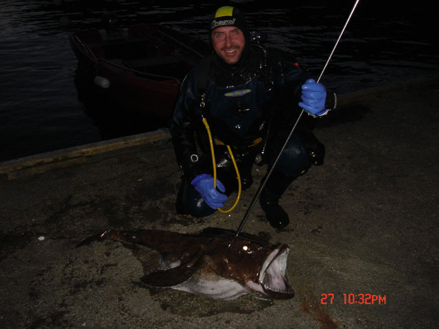 Norwegia Bu (czerwiec/lipiec)