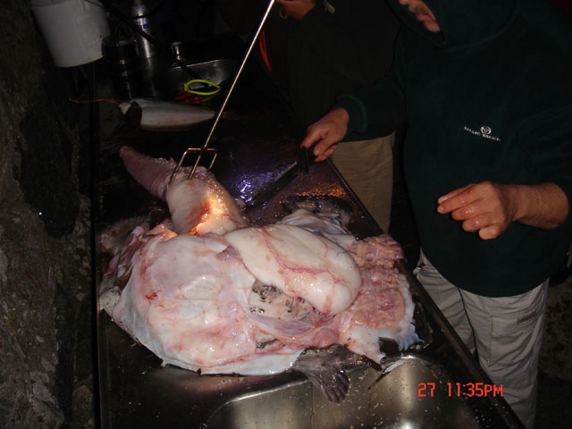 Norwegia Bu (czerwiec/lipiec)