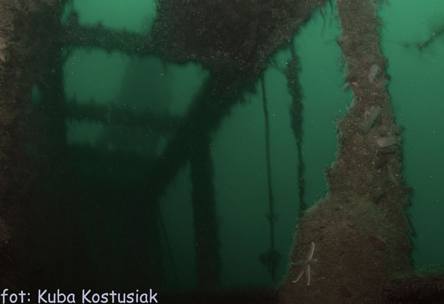 Norwegia Bu (czerwiec/lipiec)