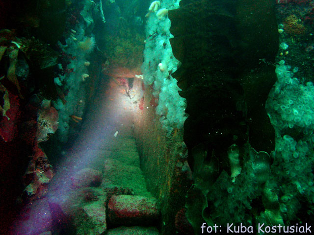 Norwegia Bu (czerwiec/lipiec)