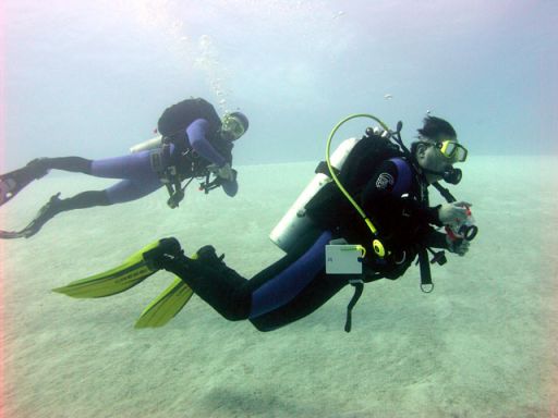 EGIPT, Dahab (7-14 listopad)