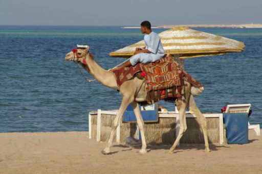 EGIPT, Hurghada (sierpień)