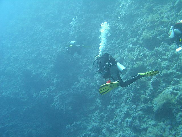 EGIPT, safari (wrzesień)