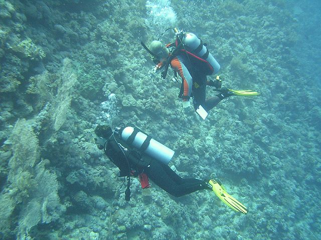 EGIPT, safari (wrzesień)