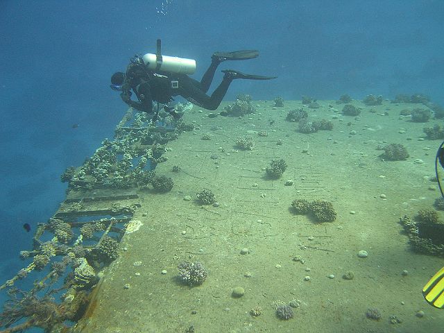 EGIPT, safari (wrzesień)