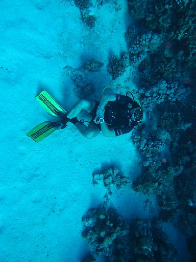 EGIPT, safari (listopad)