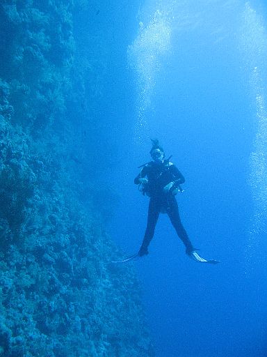 EGIPT, safari (listopad)