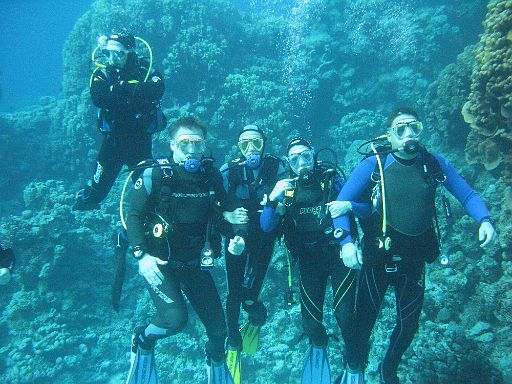 EGIPT, safari (listopad)