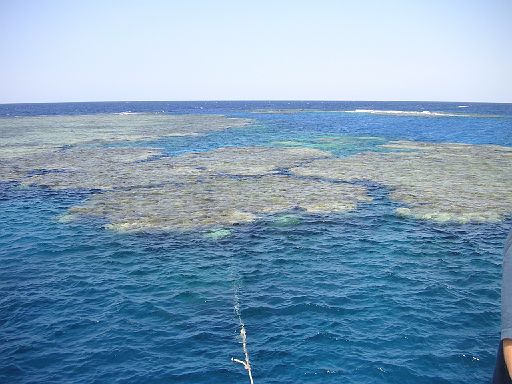 EGIPT, safari (listopad)