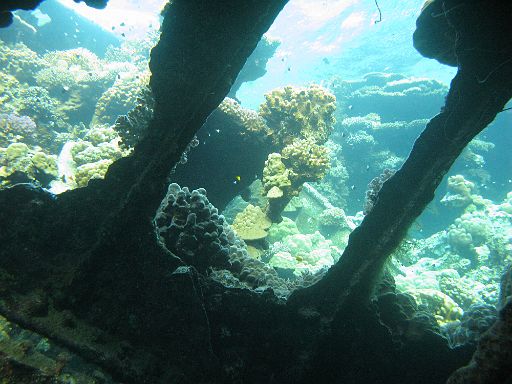 EGIPT, safari (listopad)