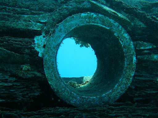 EGIPT, safari (listopad)