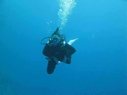 EGIPT, safari (listopad)