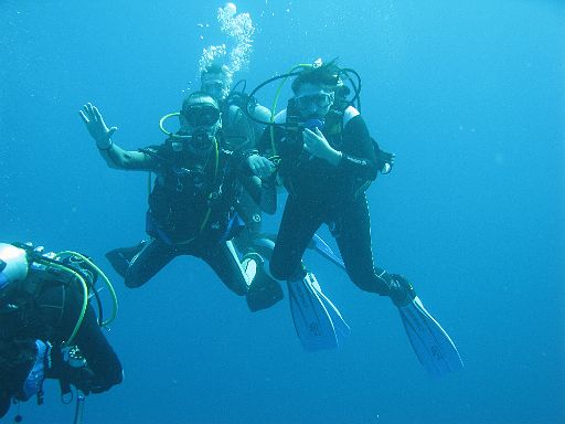 EGIPT, safari (listopad)