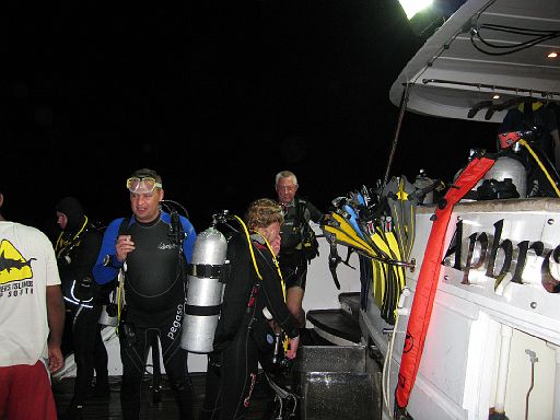 EGIPT, safari (listopad)