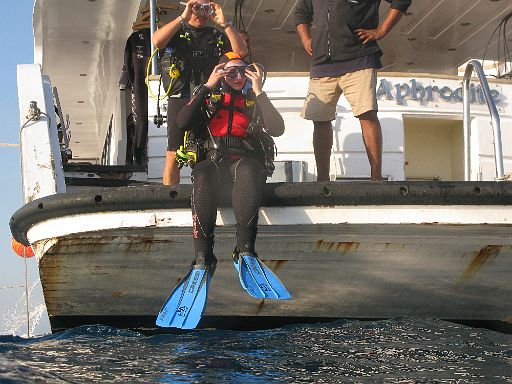 EGIPT, safari (listopad)