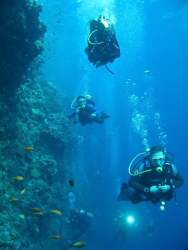 EGIPT, safari (listopad)