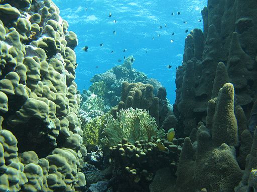 EGIPT, safari (listopad)