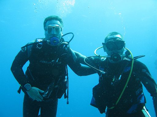 EGIPT, safari (listopad)